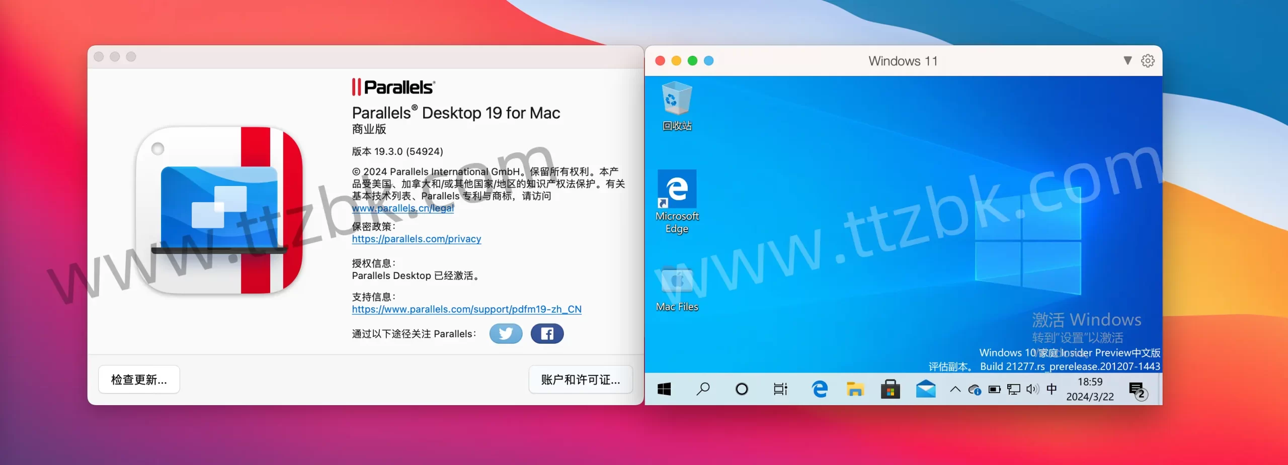 pd虚拟机19.3.0-兔子博客